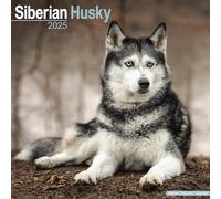 Siberian Husky Calendar 2025 Square Dog Breed Wall Calendar - 16 Month