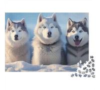 Siberian Husky Trio Rompecabezas 1000 Piezas, Retrato de Tres Huskies siberianos, Estético y Desafiante, Decoración Hogar, Regalo para Familiares y Parejas, Adultos y Niños, 38x26cm