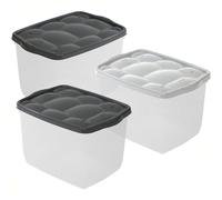 Sicignano - Caja organizadora multiusos con tapa, de plástico transparente, apilable, rectangular, para salón, dormitorio, ropa (18 l, 3)
