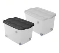 Sicignano - Caja organizadora multiusos con tapa, de plástico transparente, apilable, rectangular, para salón, dormitorio, ropa (55 l, 2)
