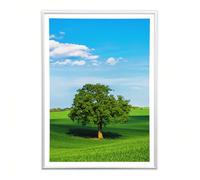 Sicignano | Marco Bombado Moderno 35x50 cm en Madera Blanca con Panel MDF Robusto, Vidrio Crilex - Portafotos para Pared Horizontal Vertical, para Fotos, Cuadros, Pósteres, Documentos, Diplomas