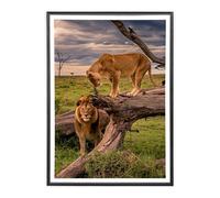 Sicignano | Marco Moderno Bombeado 50x70 cm en Madera Negra con Panel MDF Robusto, Vidrio Crilex - Portafotos de Pared Horizontal Vertical, para Fotos, Cuadros, Pósteres, Documentos, Diplomas, Títulos