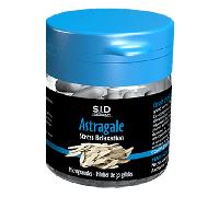 SID Nutrition - Fitoterapia - Astrágalo 30 cápsulas de microgránulos