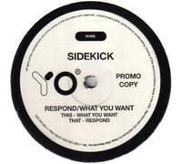 Sidekick - Respond/What You Want [Vinilo]
