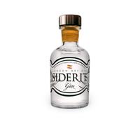 SIDERIT Gin London Dry 43% Vol, 50ml - Ginebra artesanal destilada en Cantabria con 12 botánicos, incluido el té de roca. Destilación en vidrio para máxima pureza y equilibrio aromático.