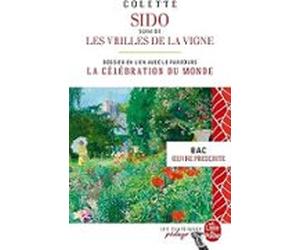 Sido Suivi Deles Vrilles De La Vigne : Dossier Thématique En Lien Avec