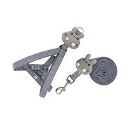 siduytin Correas Arnés Perro Ajustable Animal Cuerda Lleva Lindo Interesante Pecho Correa Correa Conjunto Corgi Teddy Reutilizable Mascota, Gris, S