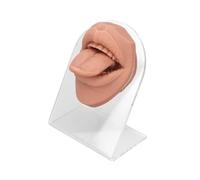 siduytin Herramienta de enseñanza para exhibición de joyas con modelo boca lengua silicona 3D, suave y flexible para lenguas bucales y partes del cuerpo, práctica perforación, partes del cuerpo