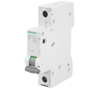 Siemens 5SV13166KK10 FI-Schutzschalter/Leitungsschutzschalter 2polig 10 A 0.03 A 230 V (5SV13166KK10)