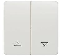 Siemens Indus.Sector Siem 5TG7814 - Interruptor basculante doble con símbolos de color blanco titanio