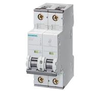 Siemens Miniature circuit breaker 400 V 6 kA, 2-po 4001869246468