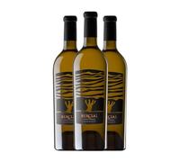 Sierra Norte Bercial Blanco Selección Utiel-Requena 75 cl Vino blanco (Caja de 3 Botellas de 75 cl)