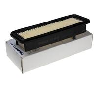 Siervo LX 3887 filtro de aire