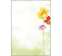 SIGEL DP123 Papel de cartas, 21 x 29,7 cm, 90g/m², Flores de primavera, amarillo