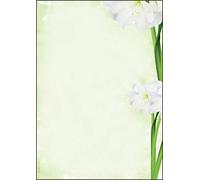 SIGEL DP463 Papel de cartas, 21 x 29,7 cm, 90g/m², lirios, verde, 25 hojas