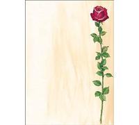 SIGEL DP695 Papel de cartas, 21 x 29,7 cm, 90g/m², una rosa roja, rosa y verde, 25 hojas