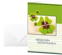 Sigel DS004 - Tarjetas de felicitación (17 x 11,5 cm, 10 unidades, incluye sobre