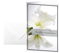 Sigel DS006 - Tarjetas postales (17 x 11,5 cm, 10 unidades, con sobres blancos)