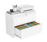 Sightlife Archivador Lateral con Cerradura, archivador metálico Grande de 2 cajones, Oficina en casa, Armario con Cerradura para archivadores Colgantes tamaño carta/legal/F4-Requiere Montaje