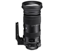 Sigma F4.5-6.3 DG OS HSM Sport - Teleobjetivo Zoom 60-600 mm para Nikon, Color Negro