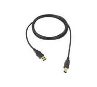 Sigma USB A/B 3 M-Cable USB A (USB USB B Macho/Macho Oro Negro PVC)