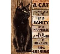 SIGNCHAT Póster decorativo de metal para pared con texto en inglés "A Cat Is Not Just A Cat" (Un gato no es solo un gato)