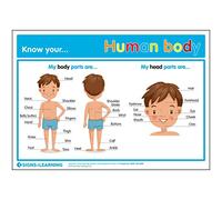 Signs 4 Learning know Póster A3 Your Human Body, Estándar, 297mm x 420mm