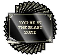 Signs Funny Magnetic Bumper Funny Collar You're in The Blast Zone Heavy Duty | Coche para exterior de coche/pared despegar y pegar (8 x 12 cm, 10 unidades)