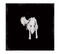 Sigur Ros - Kveikur