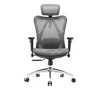 SIHOO M57 Silla De Oficina Ergonómica De Malla, Soporte Lumbar, 150Kg, Gris | Reposacabezas Ajustable, Reposabrazos 3D, Malla Transpirable de Respaldo Alto, Bloqueo Inclinación, Base Aluminio Reforzada