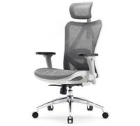 SIHOO M57 Silla Oficina Ergonómica Malla, Soporte Lumbar, 150Kg, Gris Claro | Reposacabezas Ajustable, Reposabrazos 3D, Malla Transpirable de Respaldo Alto, Bloqueo Inclinación, Base Aluminio Reforzada