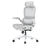SIHOO Silla de Oficina Ergonómica B100-Silla de Escritorio con Soporte Lumbar Adaptativo Dinámico, Reposabrazos Abatibles, Inclinación 90-135° con Bloqueo, Reposapiés y Cojín de Malla Transpirable
