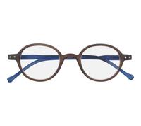 Silac Gafas Marrón & Azul 3.50 1 ud