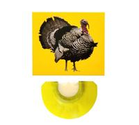 Silbato creativo con sonido de pájaro, juguetes de ruido de colores brillantes novedosos, creadores de ruido creativos únicos para celebraciones de cumpleaños, día de los inocentes