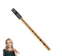 Silbato de estaño, silbatos de centavo, silbato de estaño D, silbatos de seis agujeros de primera calidad, para principiantes, intermedios y expertos en banda (dorado)