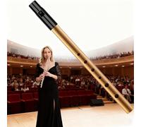 Silbato de lata D, silbato de lata D, llave de seis agujeros de D, tobogán irlandés de seis agujeros, para principiantes, intermedios y expertos, perfecto para música celta tradicional (dorado)