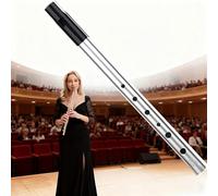 Silbato de lata D, silbato de lata D, llave de seis agujeros de D, tobogán irlandés de seis agujeros, para principiantes, intermedios y expertos, perfecto para música celta tradicional (plata)
