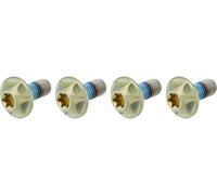 SILCA Tornillos de portabidones Titan Torx amarillo T25