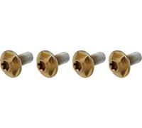 SILCA Tornillos de portabidones Titan Torx marrón T25
