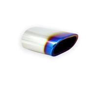 Silenciador Escape Acero Inoxidable 1 Pieza Punta Tubo Estilo Garganta Trasera Para BMW 318 X3 E83 F25 2005-2012(BLUE)