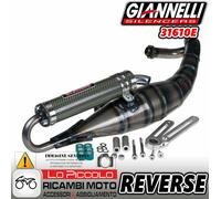 Echap.reverse nrg 95/01 - Giannelli 31610E