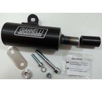 Silenciador Giannelli Vespa Px 125-150 Cc 2 Tiempos De 2011 IN Entonces 30512