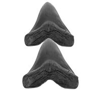 SILENRADAWN Réplicas Obsequio Adecuado 2 Piezas en Resina Negra de Dientes de Megalodón para Decoración Artesanal y Práctica Docente para Oficina y Coleccionistas