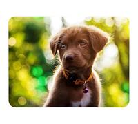 Silent Monsters Alfombrilla de ratón Ordenador 240 x 200 mm Mouse Pad pequeña Tela, Cachorro de Perro,Antideslizante y silenciosa, Gaming, Oficina, Home Office, Lavable, Enrollable Cortada con láser
