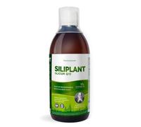 Silicium Laboratories Siliplant Silicio G7 Líquido Bebible 500ml. Suplemento Natural de Cola de Caballo para Articulaciones Piel Uñas Pelo y Huesos Alta Absorción.