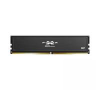 Sp memoria ddr5-6400,cl32,oc-udimm,16gb sr