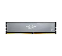 Silicon Power Memoria RAM SP016GXLZU320BDI