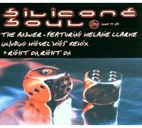 Silicone Soul - The Answer,Right on Right on