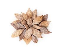 Silikomart | Voilà Cookie, Molde para Galletas "Hojas" en Forma de Hojas, Medidas 240 x 150 mm h 20 mm