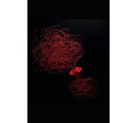 Silk and Steel (Hearts Across Empires)